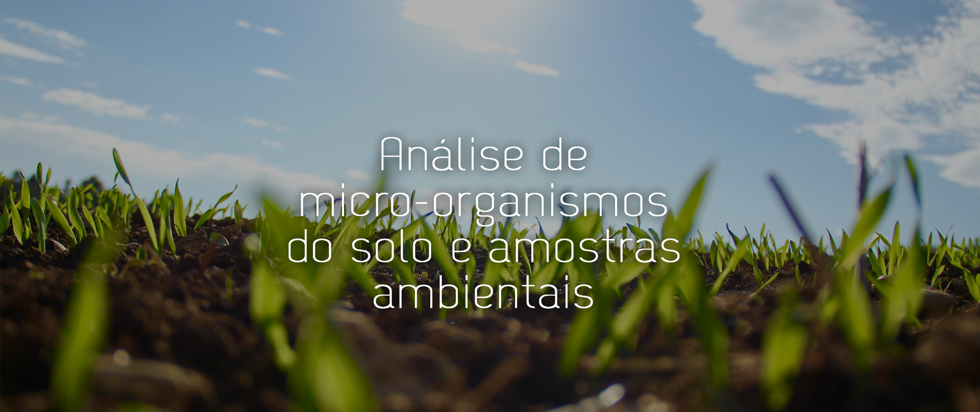 [DSMA]