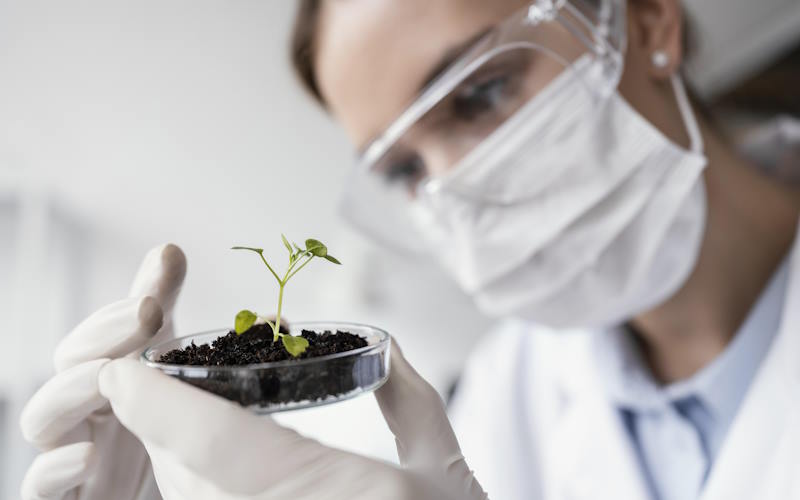 Como os micro-organismos impulsionam a produtividade e sustentabilidade agrcola