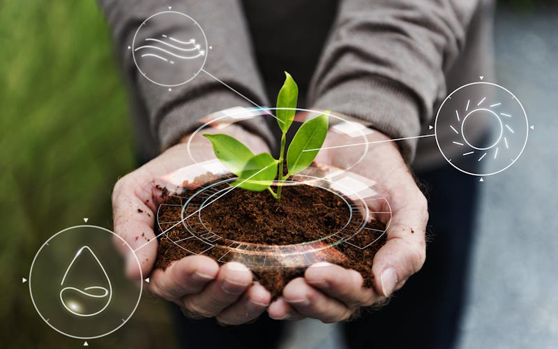 Desenvolvimento Sustentvel: por que o setor agrcola tem a ganhar com ele?